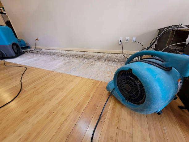 Professional Sewage Cleanup technician working in Leary, GA